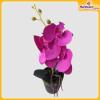 Orchid-Flower-Vase-Hardwaremart50
