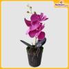 Orchid-Flower-Vase-Hardwaremart48