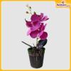 Orchid-Flower-Vase-Hardwaremart49
