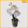 Orchid-Flower-Vase-Hardwaremart30
