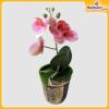 Orchid-Flower-Vase-Hardwaremart45
