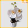 Orchid-Flower-Vase-Hardwaremart37