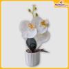 Orchid-Flower-Vase-Hardwaremart36