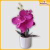 Orchid-Flower-Vase-Hardwaremart42
