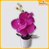 Orchid-Flower-Vase-Hardwaremart43