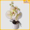 Orchid-Flower-Vase-Hardwaremart41