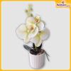 Orchid-Flower-Vase-Hardwaremart40