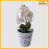 Orchid-Flower-Vase-Hardwaremart51