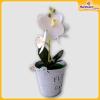 Orchid-Flower-Vase-Hardwaremart52