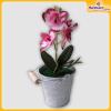 Orchid-Flower-Vase-Hardwaremart34