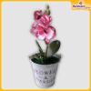 Orchid-Flower-Vase-Hardwaremart33