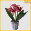 Orchid-Flower-Vase-Hardwaremart46