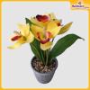 Orchid-Flower-Vase-Hardwaremart31