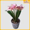 Orchid-Flower-Vase-Hardwaremart54