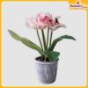Orchid-Flower-Vase-Hardwaremart55