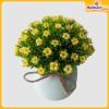 Flower-Vase-Hardwaremart24