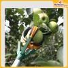 Fruit-Pluker-Garden-Tool-Hardwaremart2
